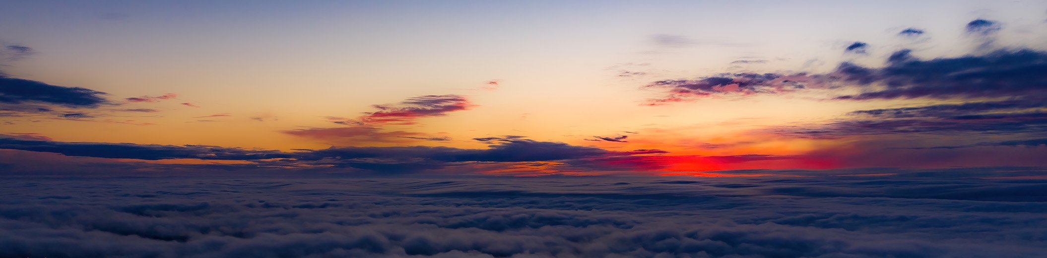 DLA Piper Algorithm To Advantage