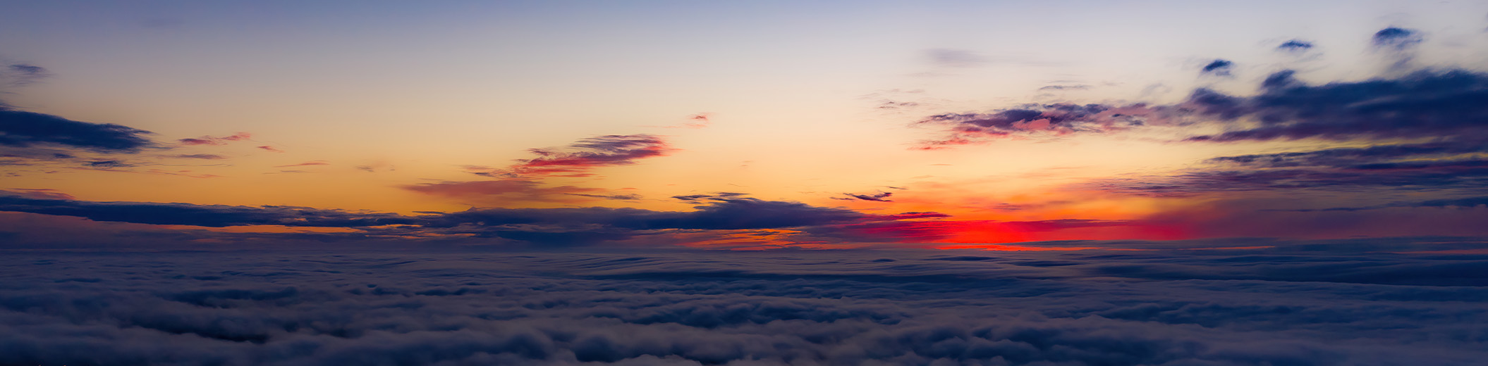 DLA Piper Algorithm To Advantage