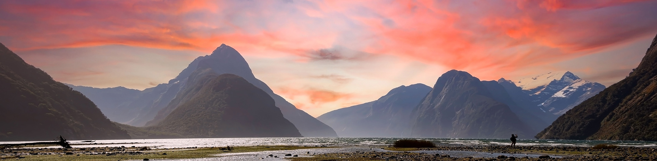 DLA Piper Algorithm To Advantage