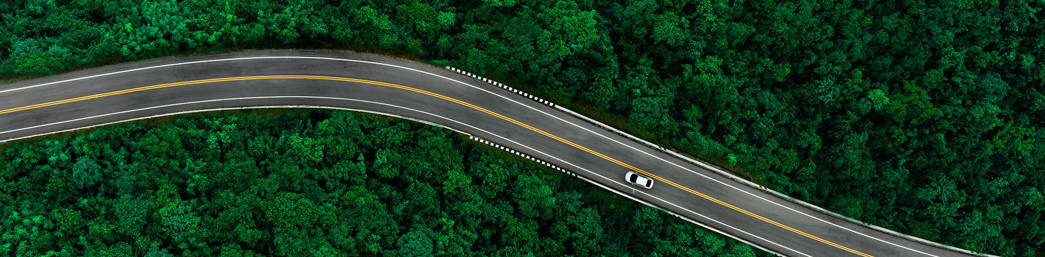 DLA Piper Algorithm To Advantage