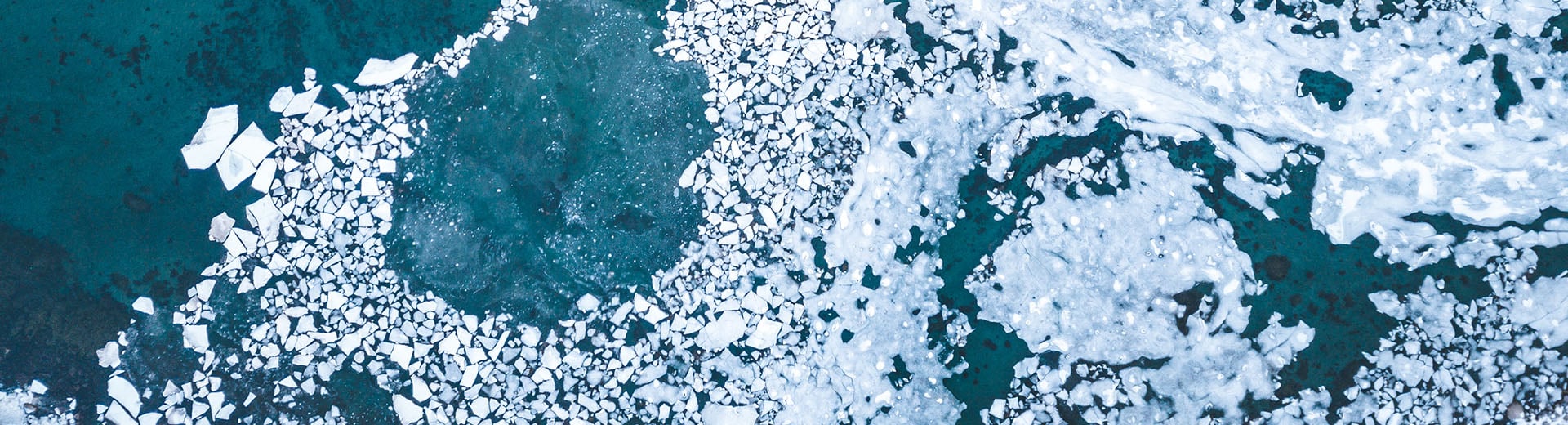 dla-piper-cop-and-climate-banner