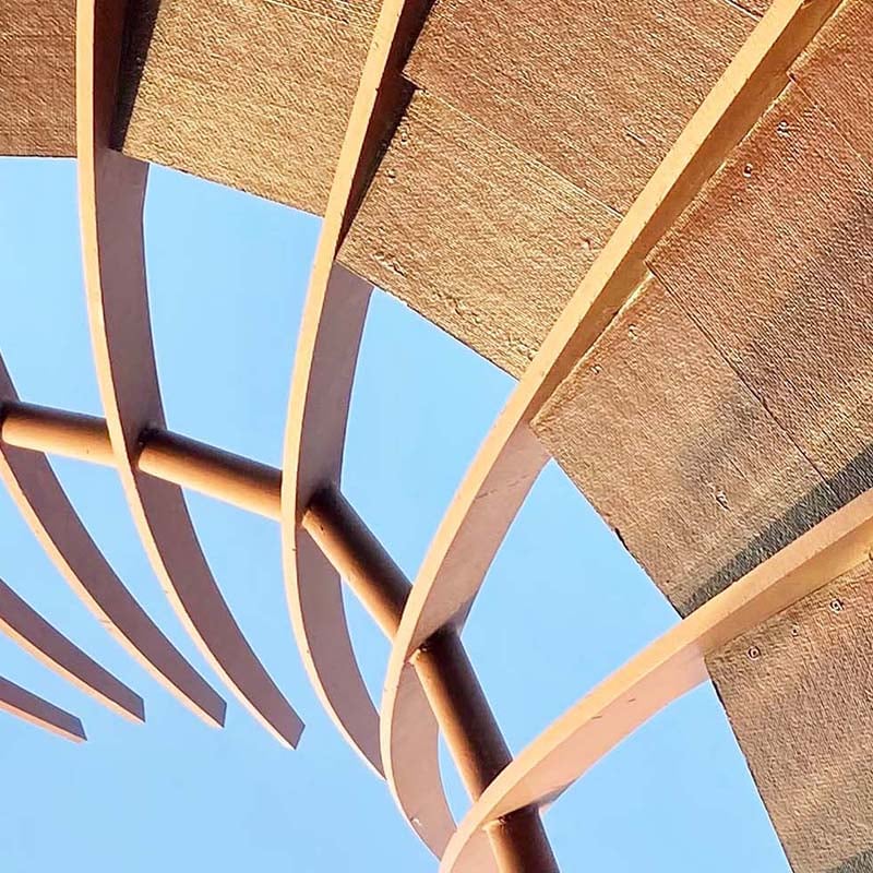 Green_leaf_closeup_S_2555-X3 square