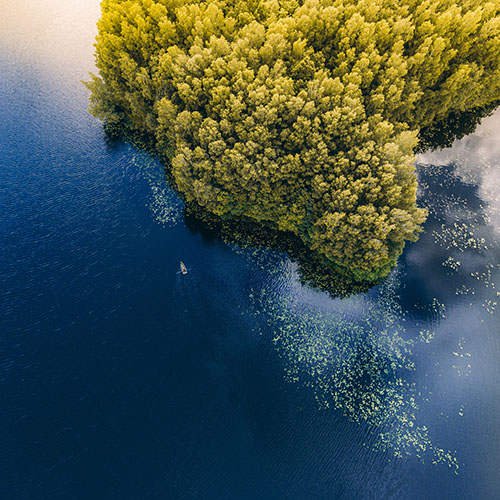 Green_leaf_closeup_S_2555-X3 square