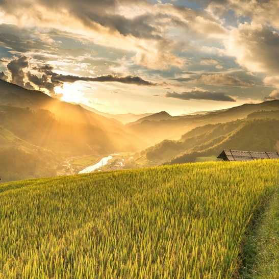 Crop field and valley