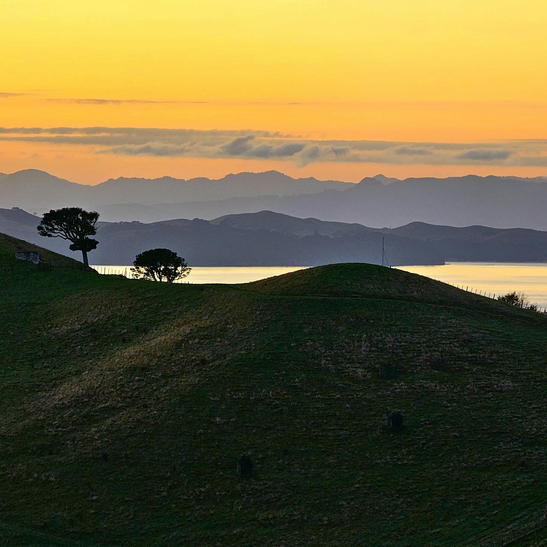 Pastoral_beach-