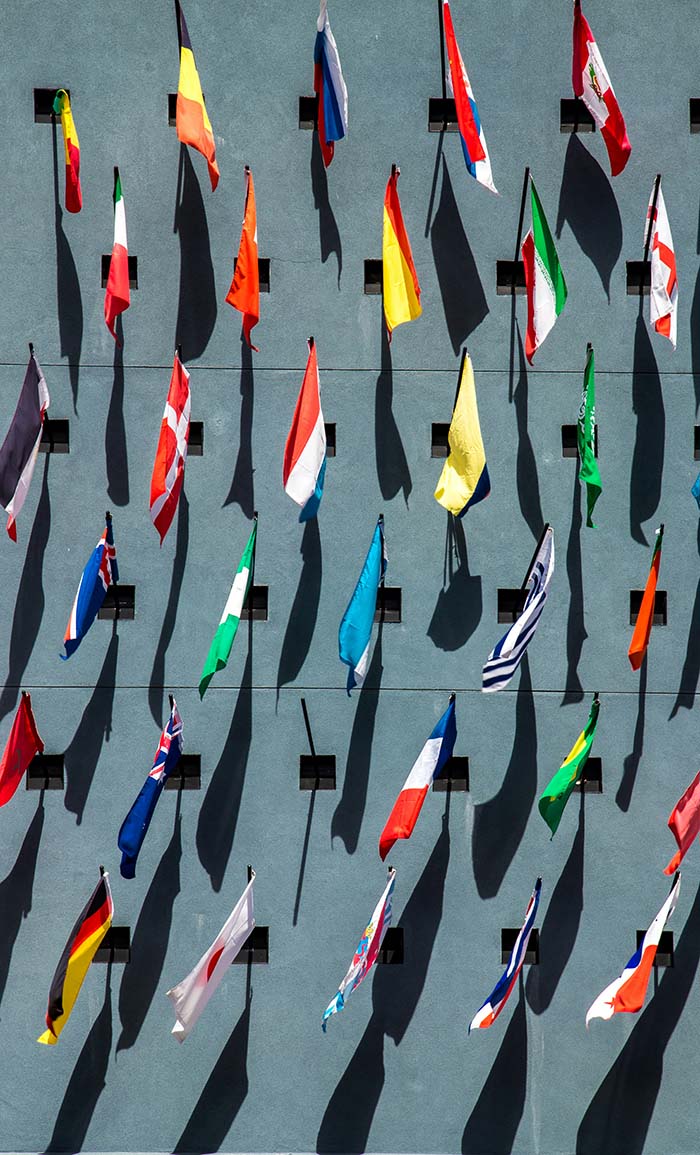 Assorted flags 700x1155