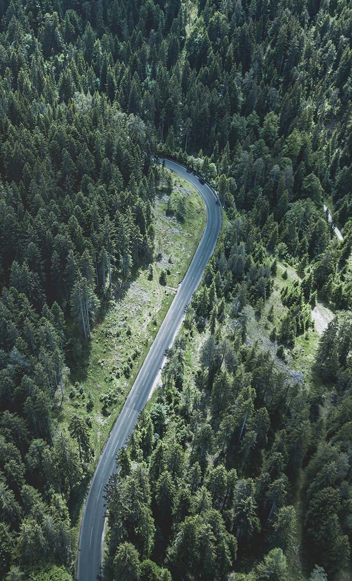 Road_Forest_Aerial_View_S_0412 700x1155