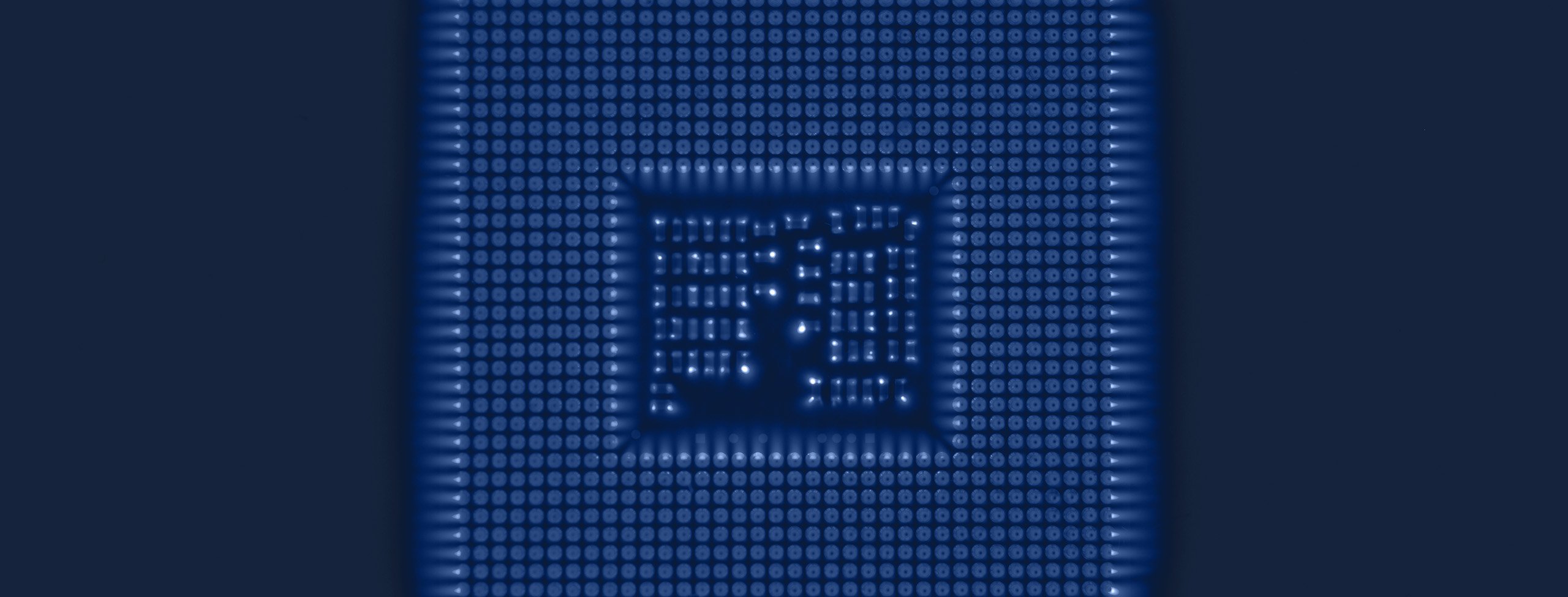 X Ray image to illustrate AI and Robotics