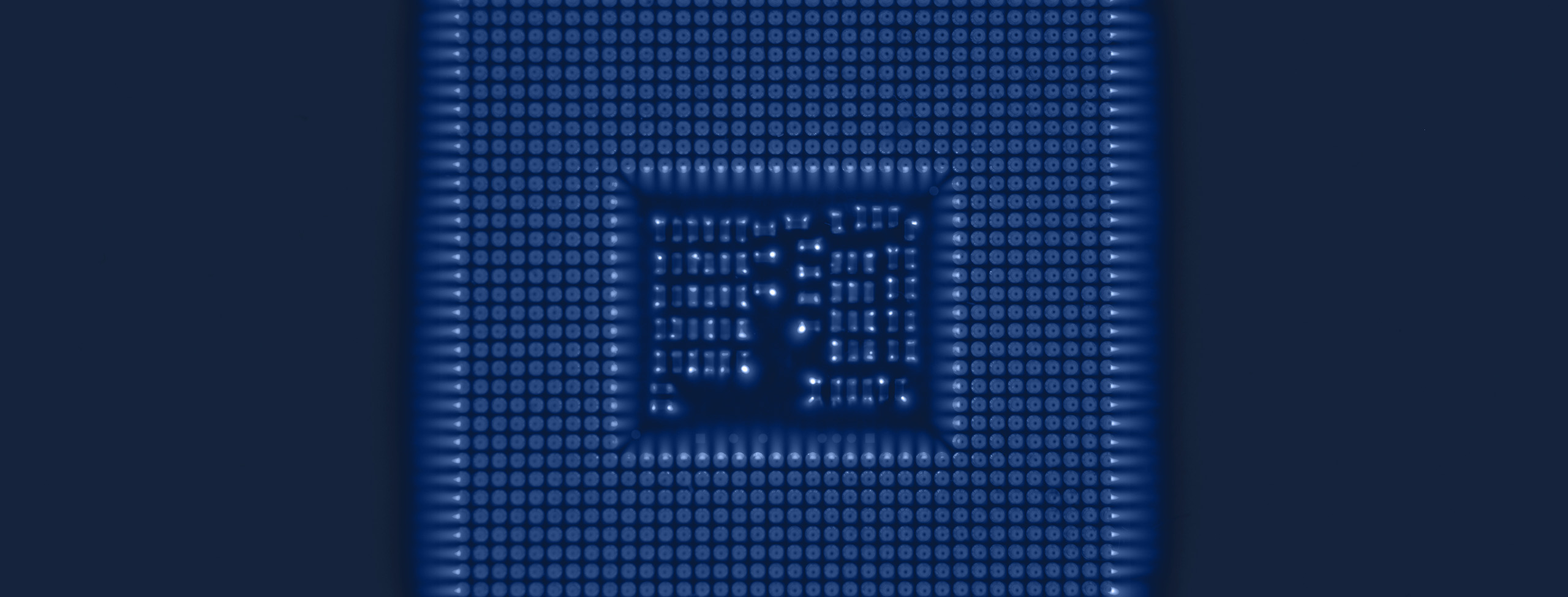 X Ray image to illustrate AI and Robotics