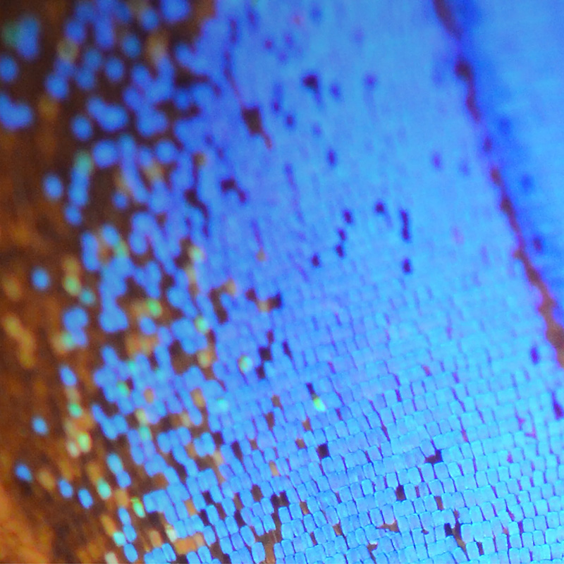 Global M&A Intelligence Report 2024