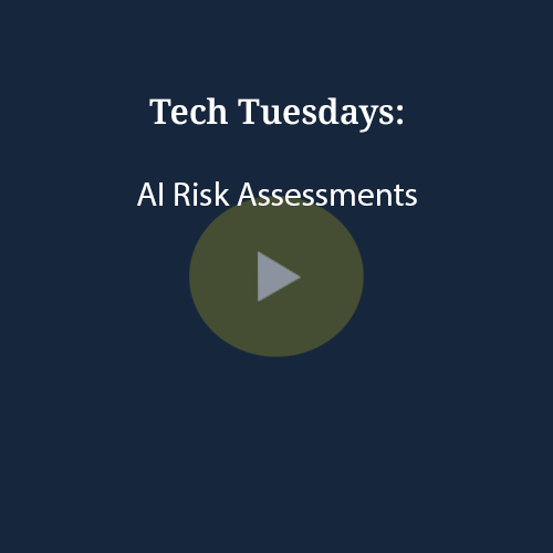 AI Risk Assessments