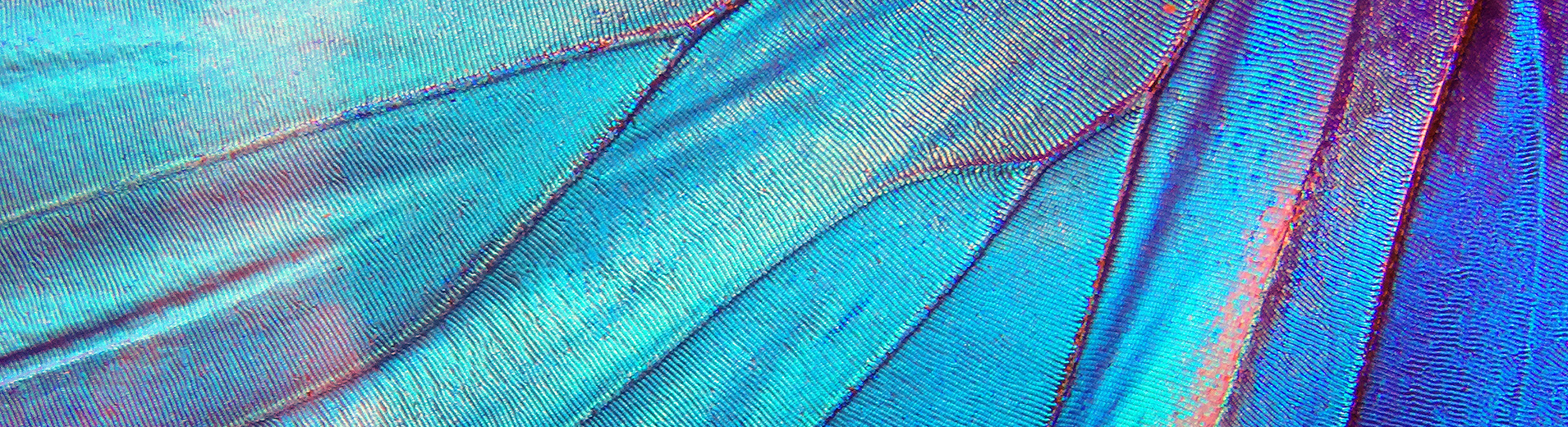 Global MA 2024 banner