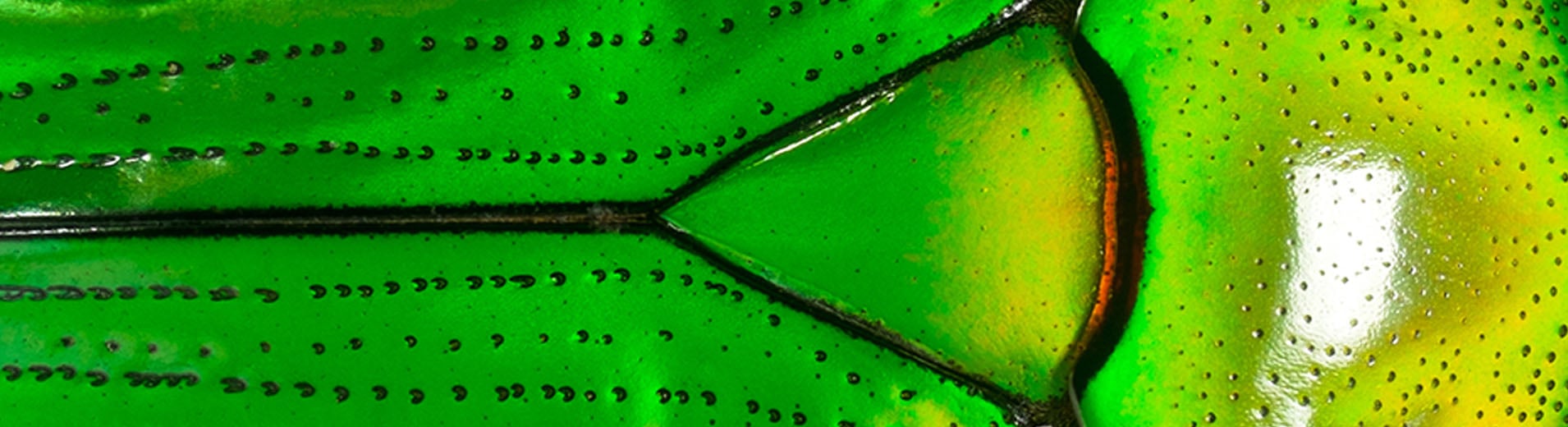 shutterstock_322926626