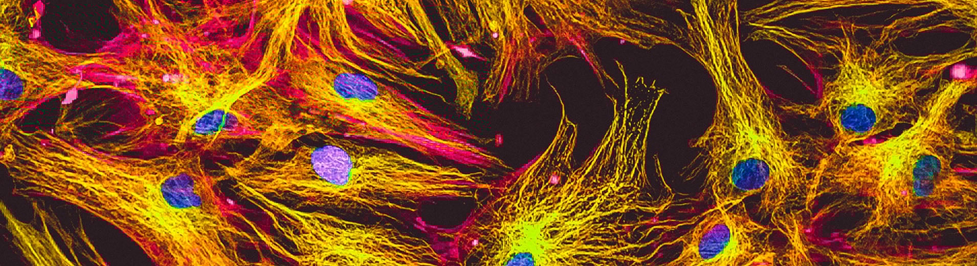 Future of Care Delivery