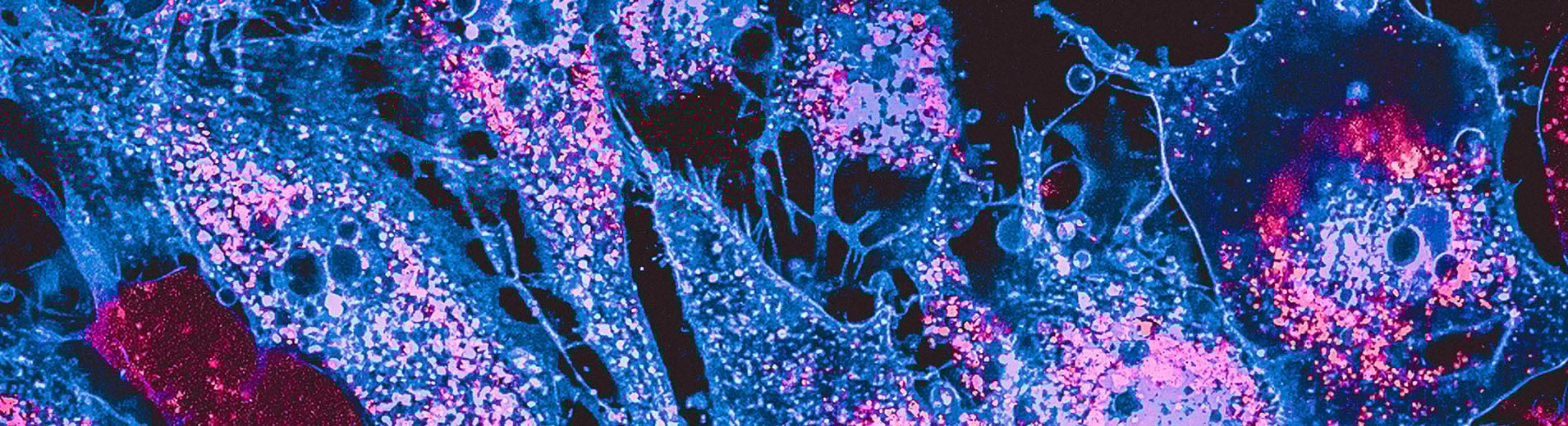 /sitecore/media library/Project/dlapiper-tenant/dlapiper/Insights/Publications/2026/01/Intelligent Technology