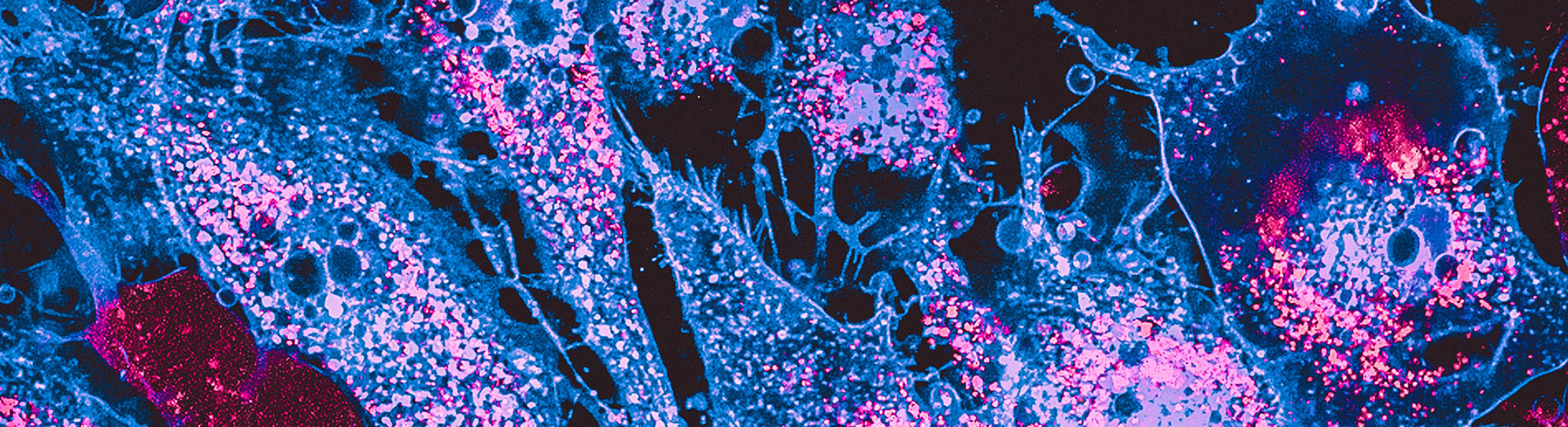 /sitecore/media library/Project/dlapiper-tenant/dlapiper/Insights/Publications/2026/01/Intelligent Technology