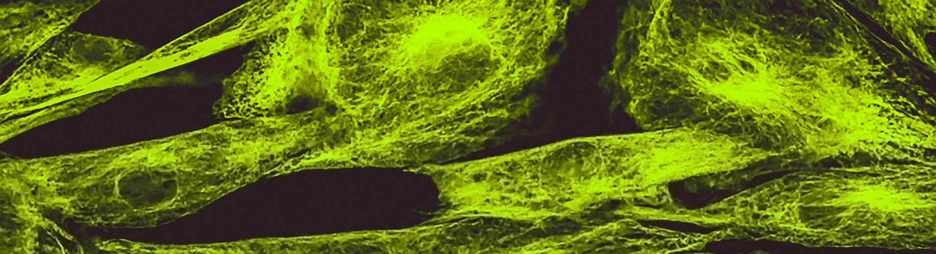 Product liability shutterstock