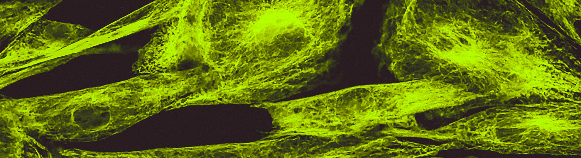 Product liability shutterstock