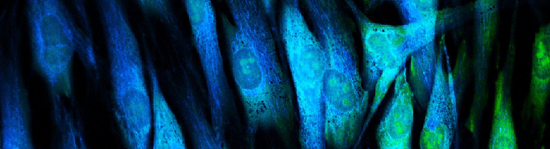 Regulation_shutterstock_181786613