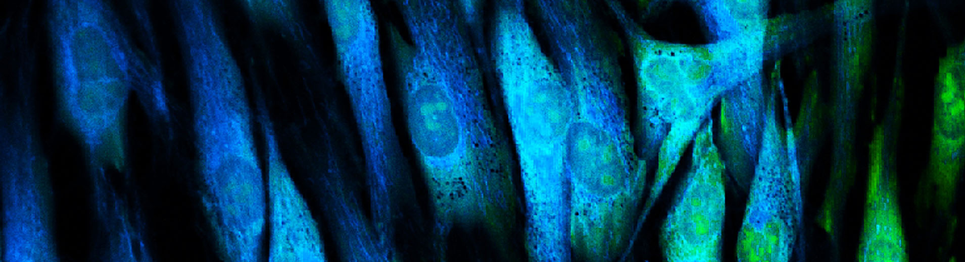 Regulation_shutterstock_181786613