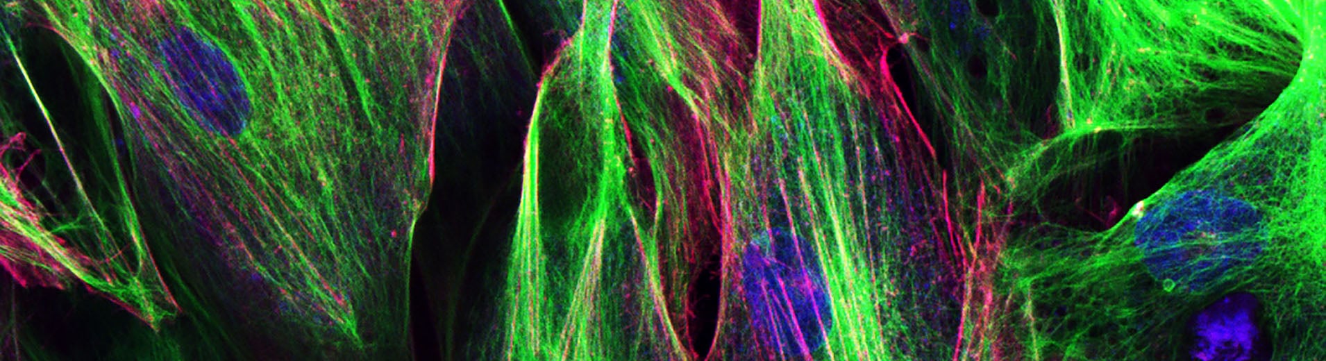 /sitecore/media library/Project/dlapiper-tenant/dlapiper/Insights/Publications/2026/01/Sustainability