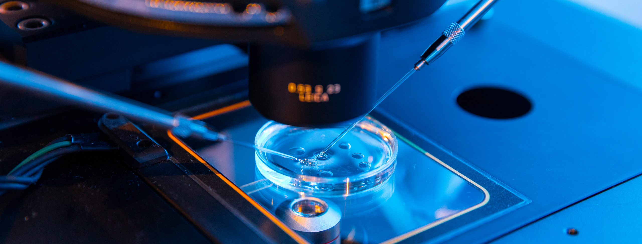 High-tech microscope