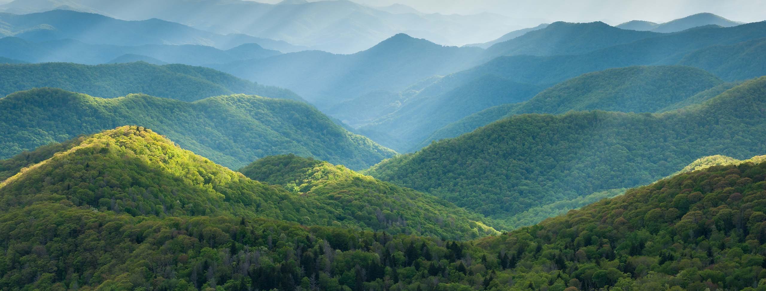 Horizon - Great Smoky Mountain landscape