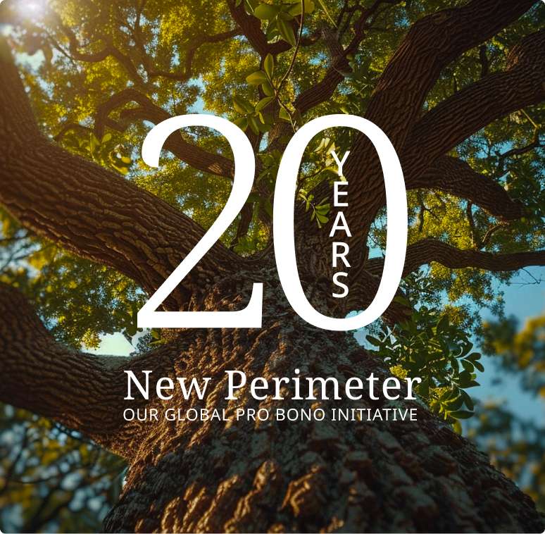 New Perimeter - Article