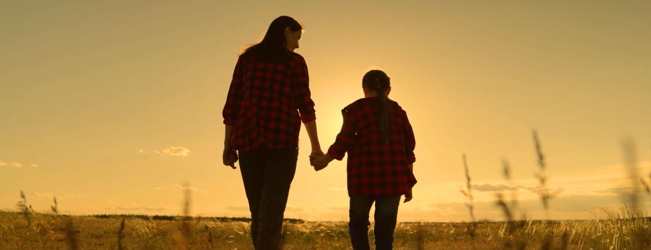 Protecting survivors pursuing justice Cover