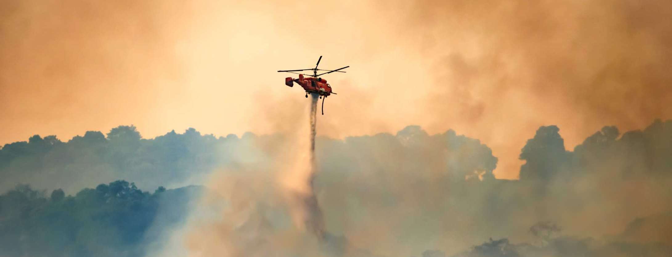 Standing strong in Crisis - Cover