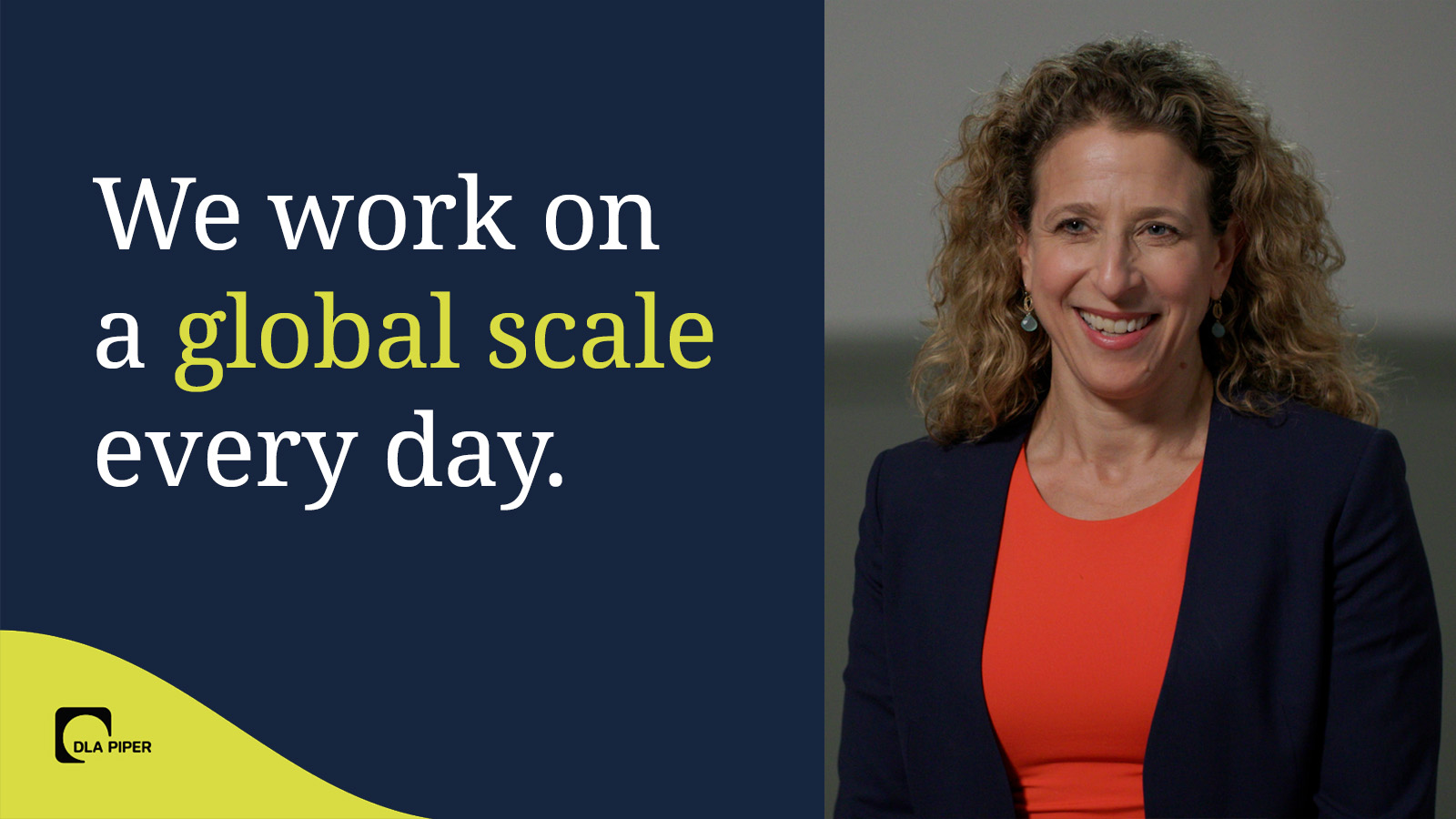 Ilana Eisenstein on Litigation