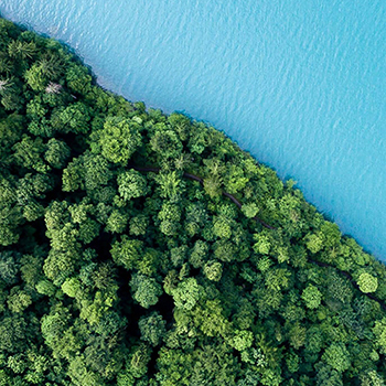 DLA Piper in Australia square