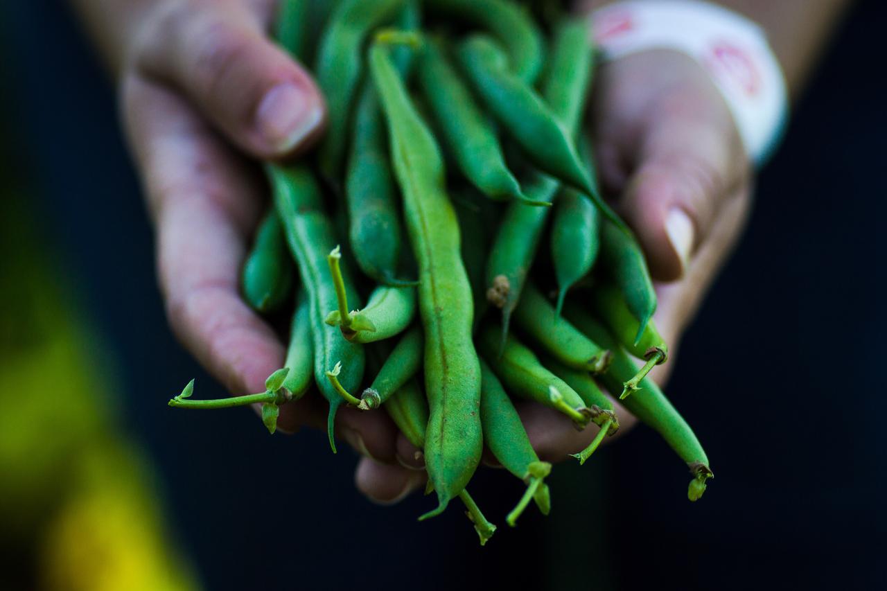 Why investing in ports and terminals is crucial to food security