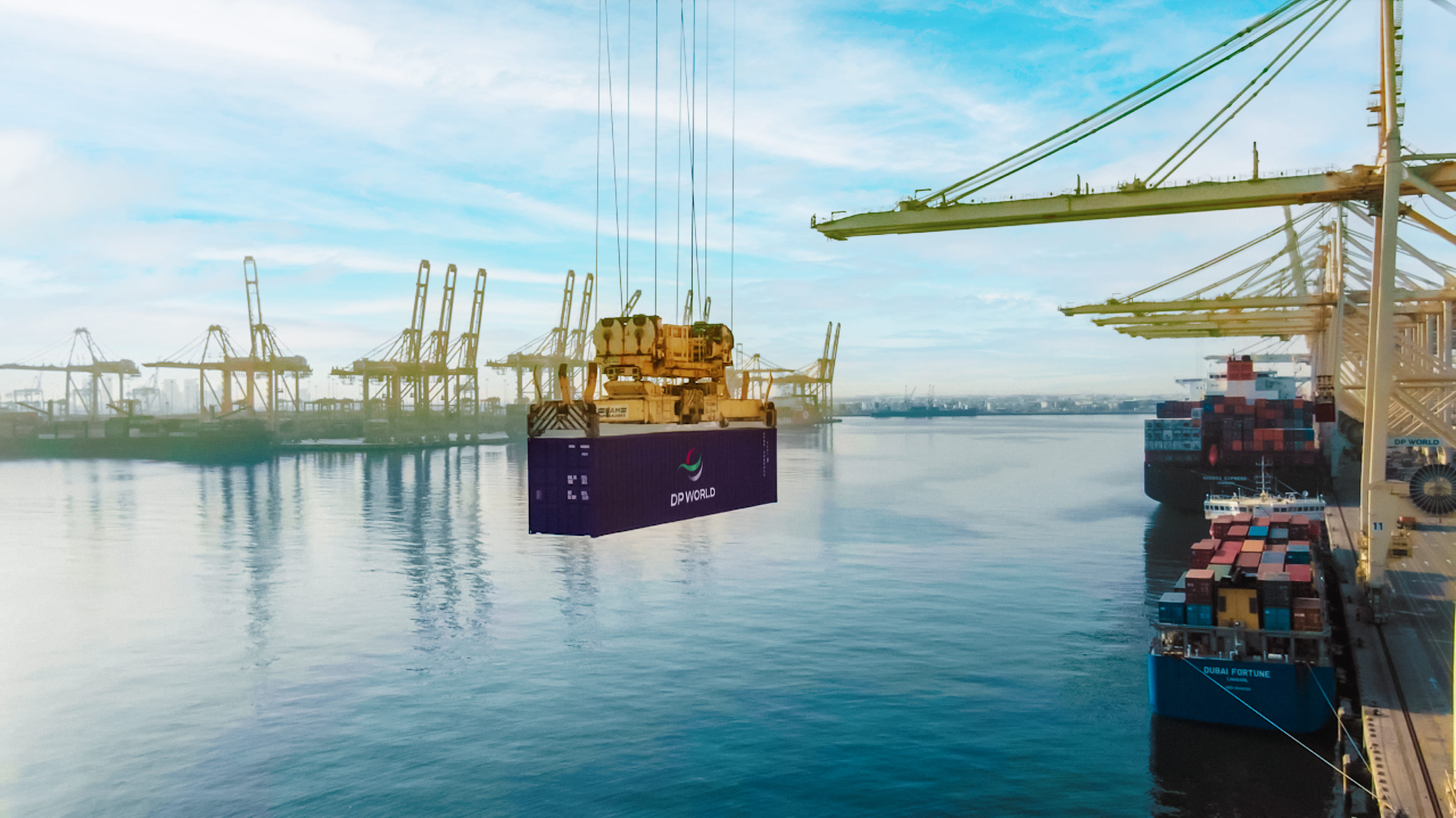 DP World container at trade port