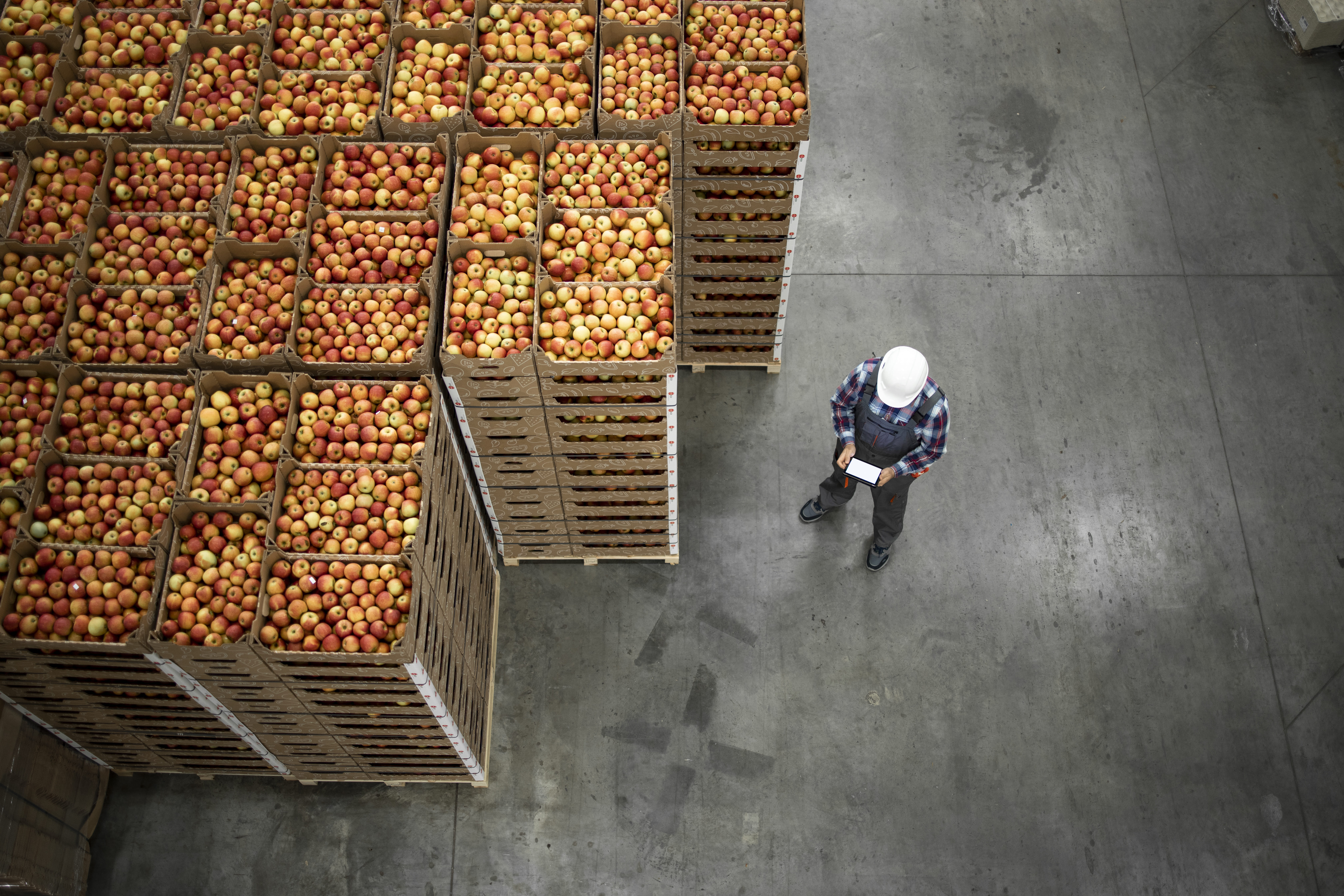 5 trends shaping Oceania's retail and consumer sector in 2024