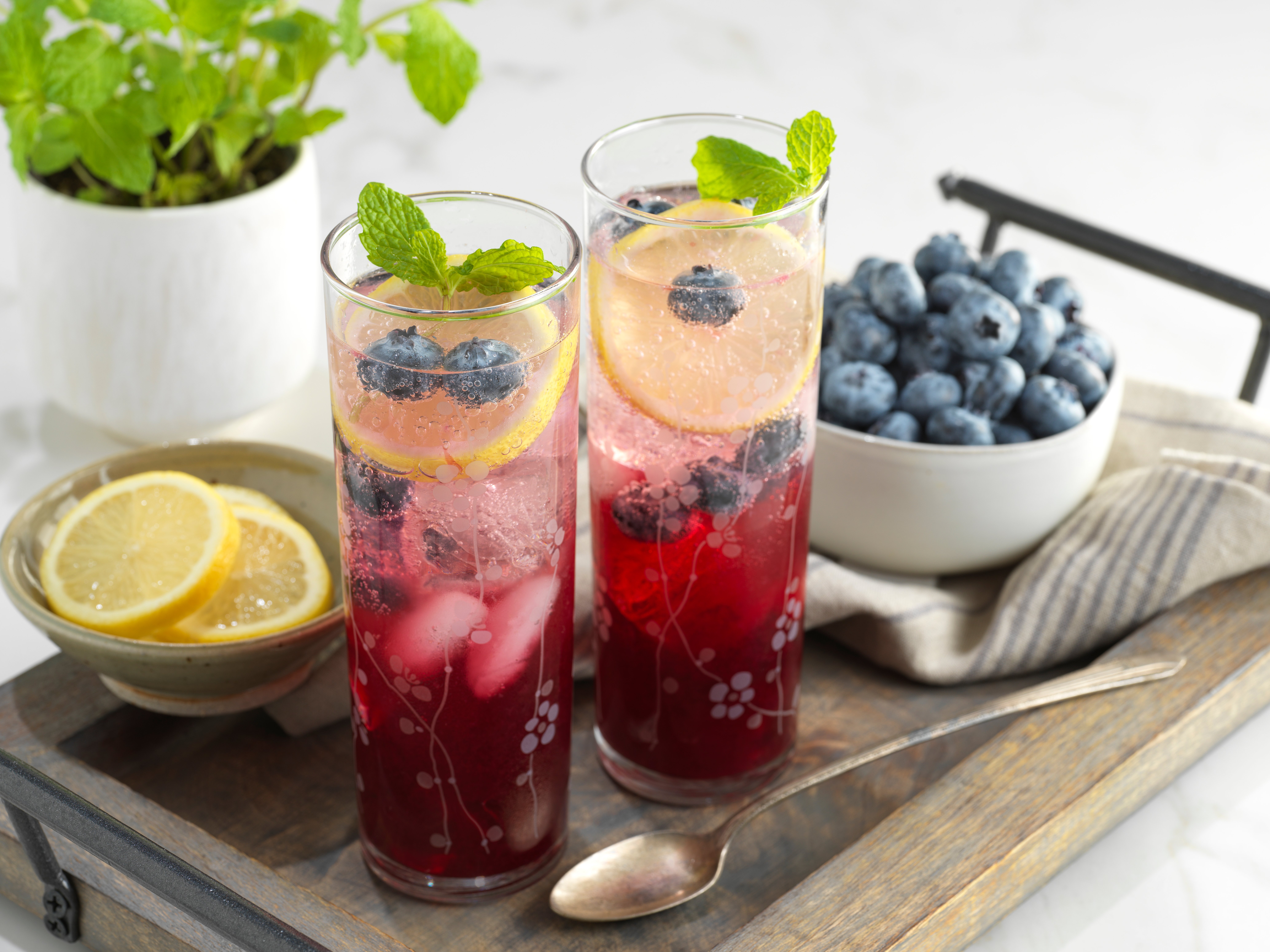 Blueberry Mint Lemonade | Driscoll’s