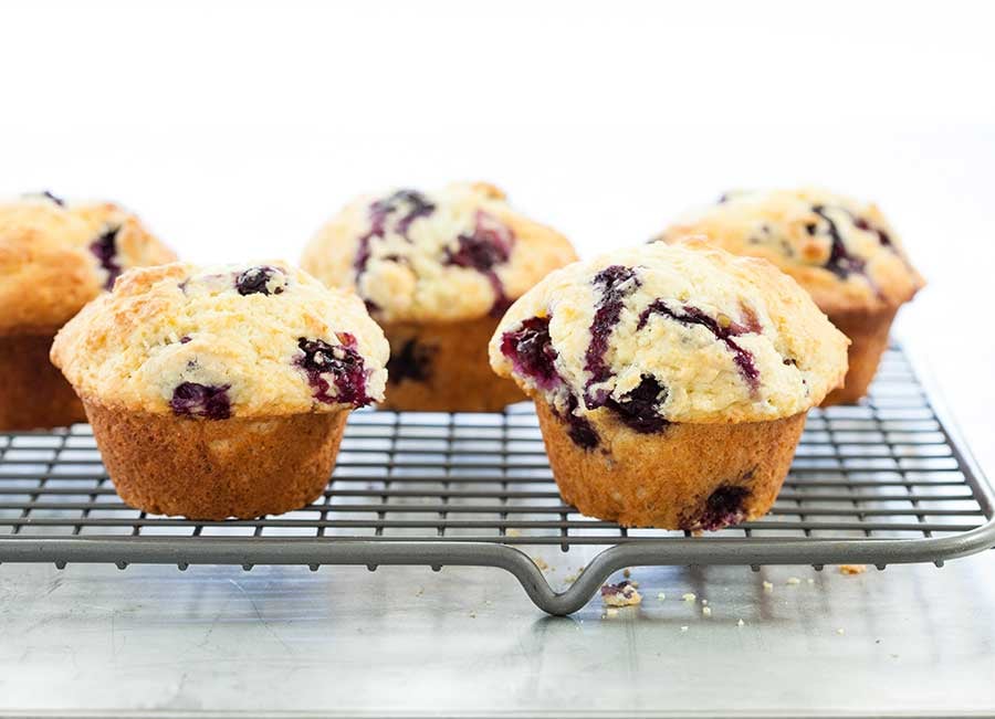 Blueberry Muffins | Driscolls