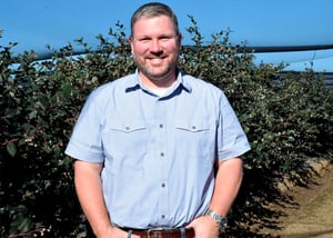 man standing in a blueberry field