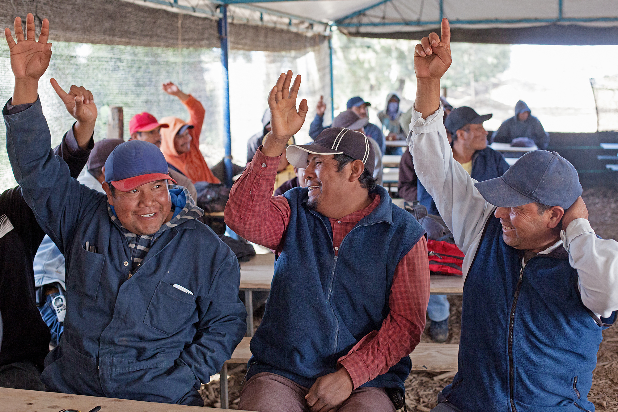 Men raising their hands