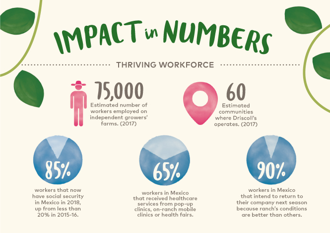 Driscoll's Thriving Workforce