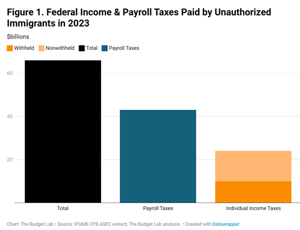 Budget lab chart of taxes paid in 2023 by undocumented workers.