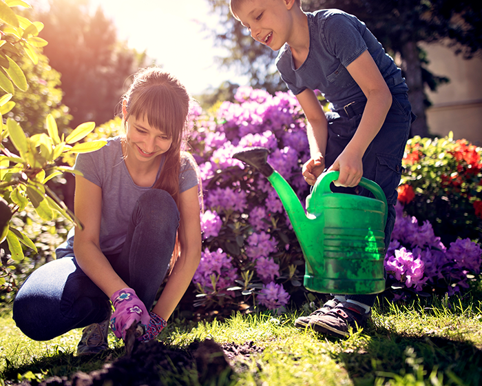 Planting a garden