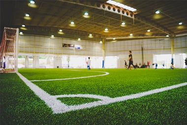 Sports Turf