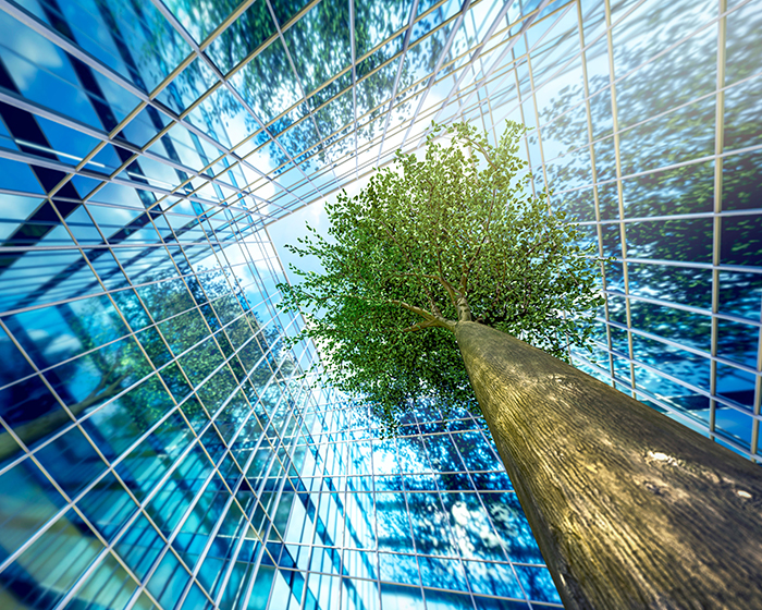 abstract windows and tree