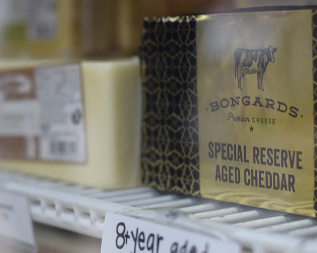 Bongard's
