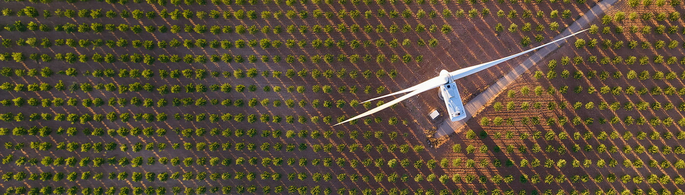 ESG and Sustainability