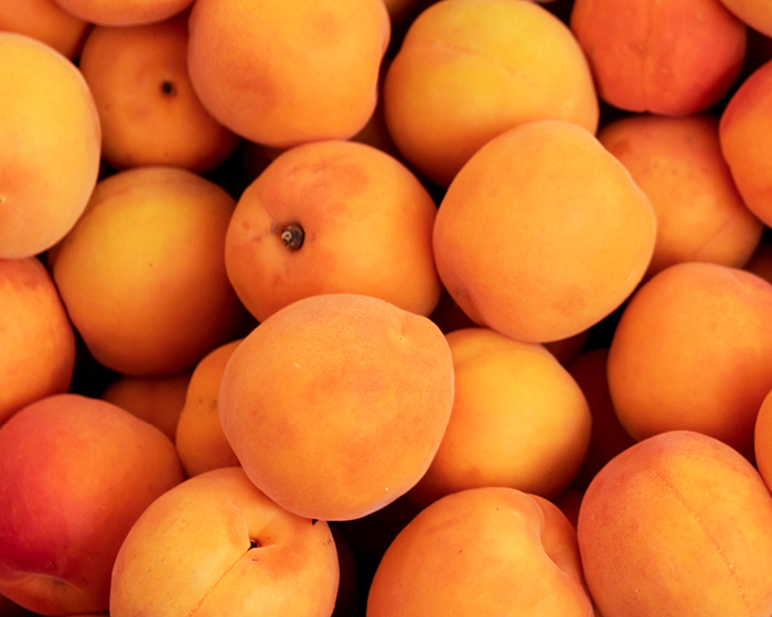 Getty image apricots