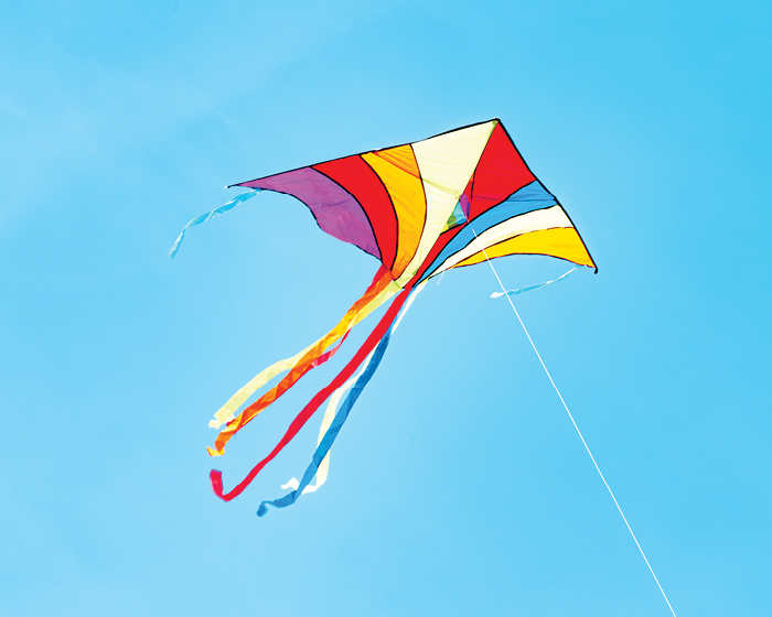 Kite aloft