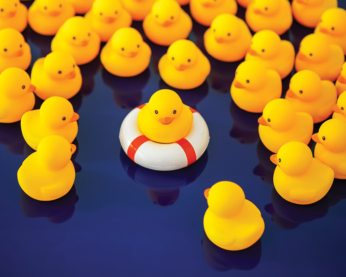 Rubber Duck gathering