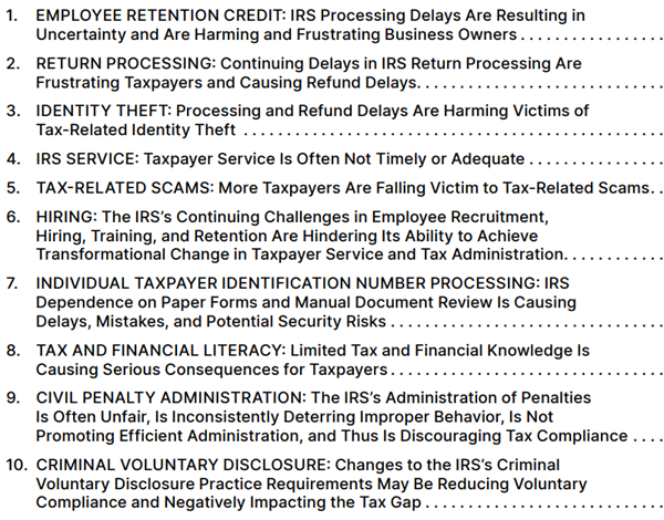 Top ten taxpayer problems with IRS from 2025 Taxpayer advocate report